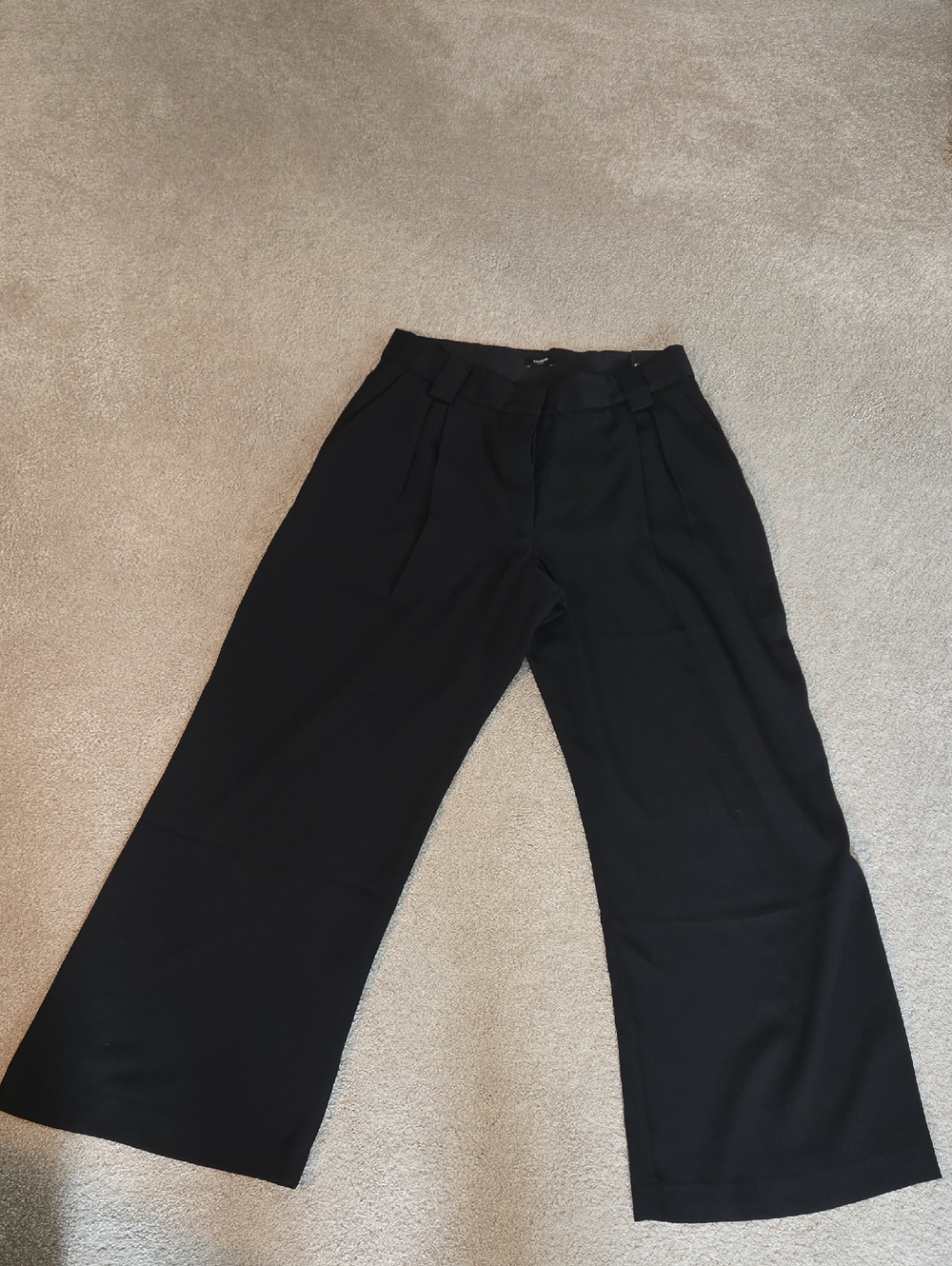 Express Stylist Black Wide-Leg Pleated Trousers